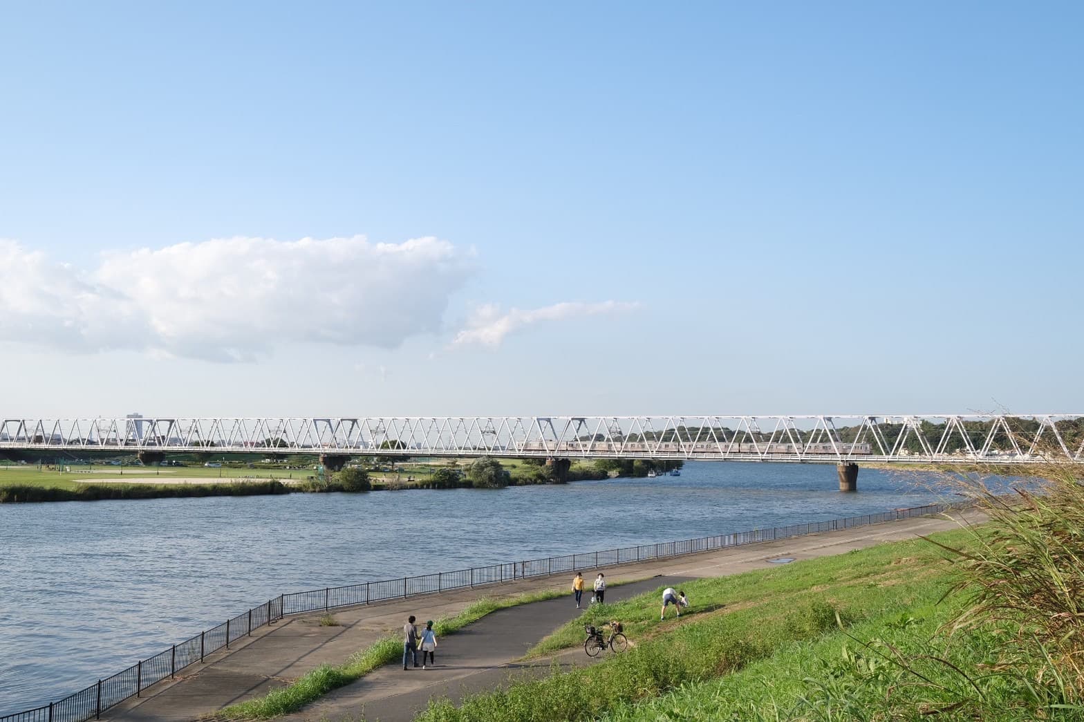 江戸川河川敷緑地
