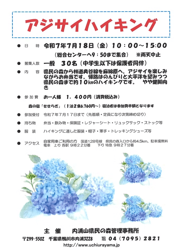 アジサイハイキング