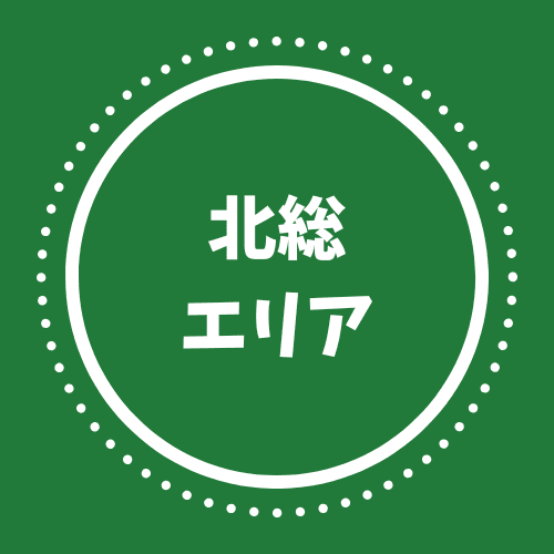 やちまた駅北口市(いち)・やちまた落花生まつり