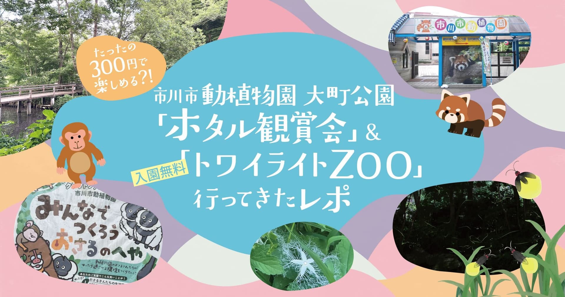 たったの300円で楽しめる?!市川市動植物園 大町公園「ホタル観賞会」&入園無料「トワイライトZOO」行ってきたレポ