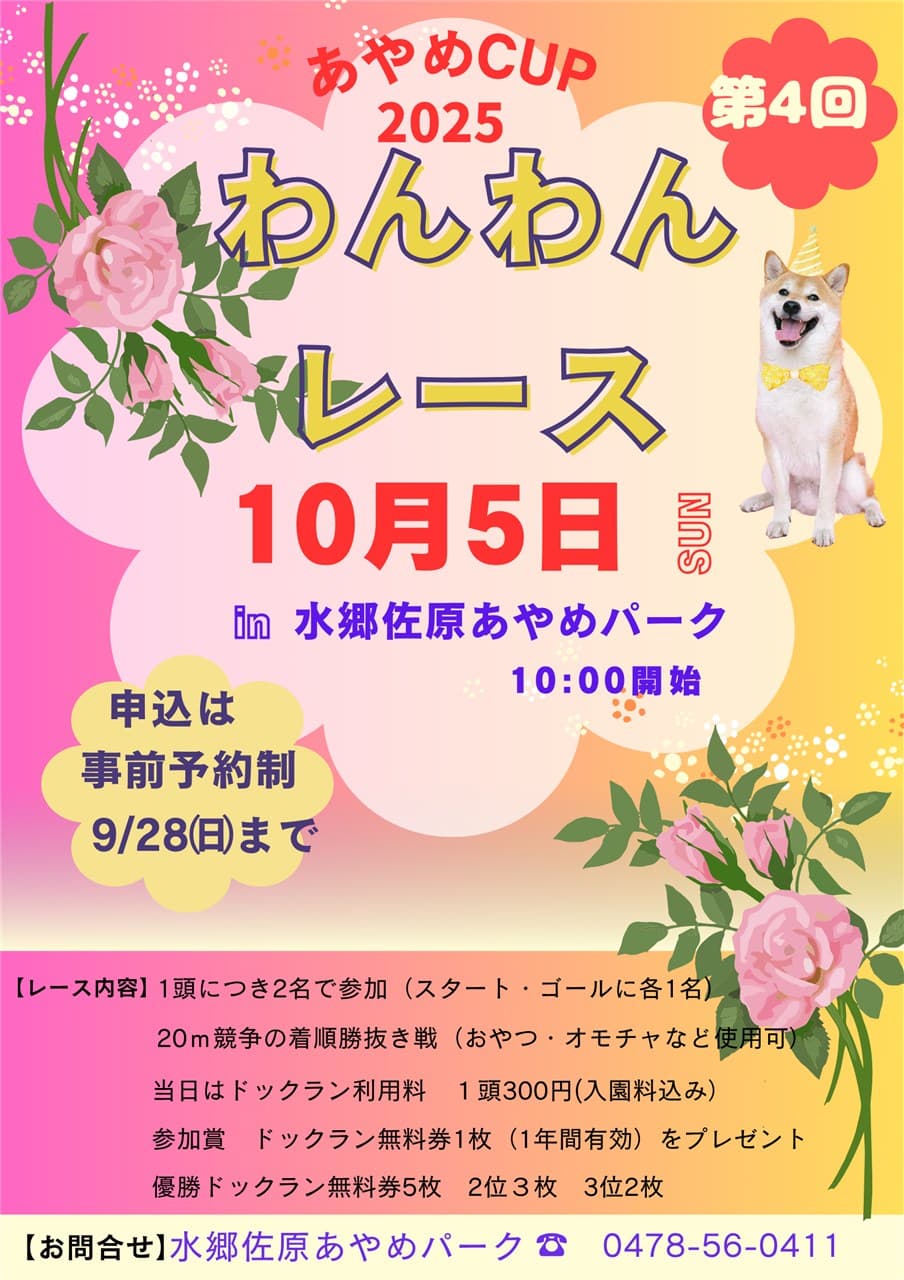 第4回「あやめCUP わんわんレース」