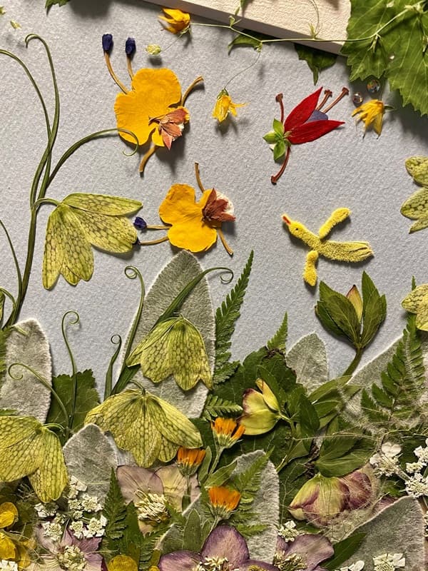 押し花アート Ayakos Blomster作品展「かくれんぼ」
