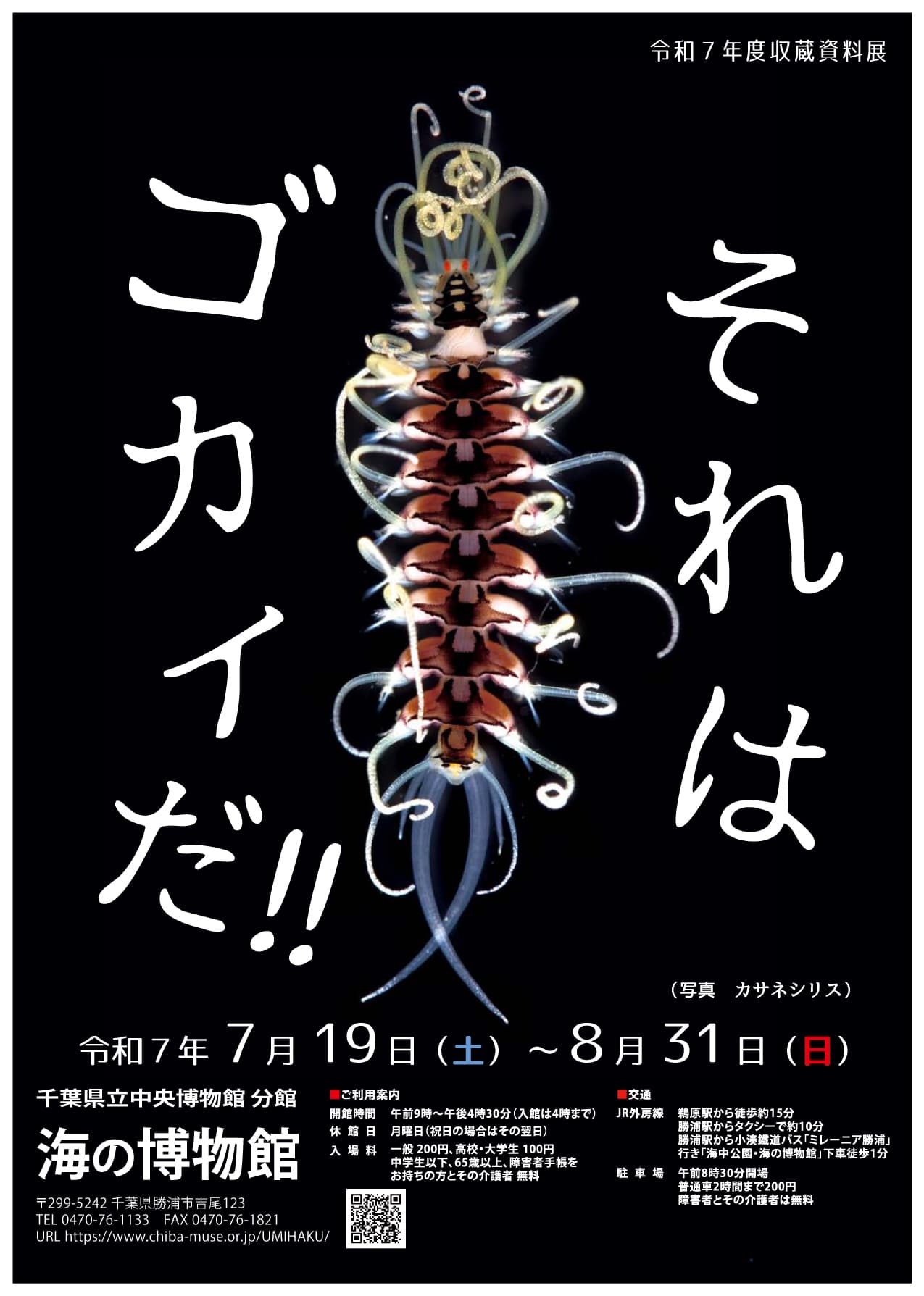 令和7年度収蔵資料展「それはゴカイだ!!」