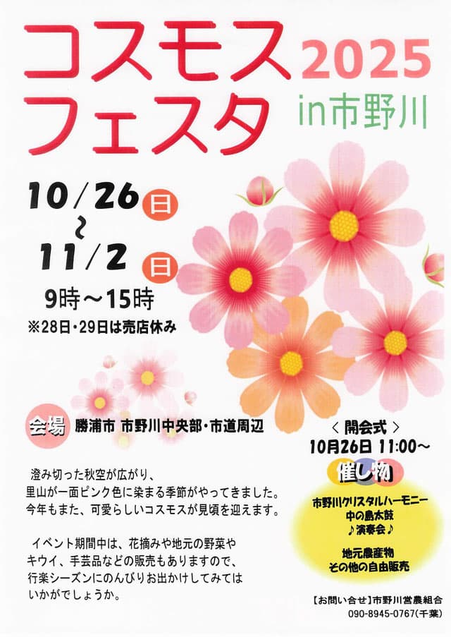 2025コスモスフェスタin市野川