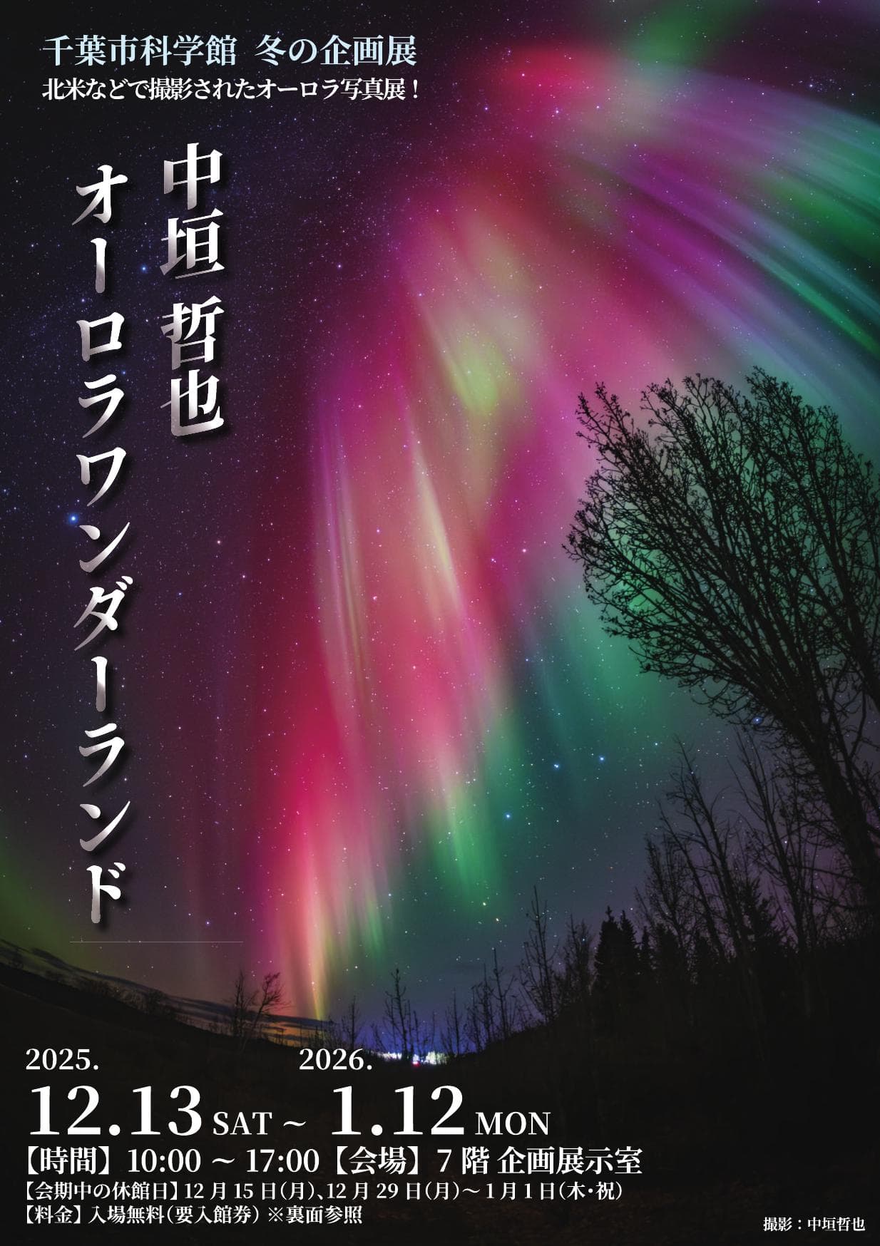 冬の企画展「中垣哲也 オーロラワンダーランド」
