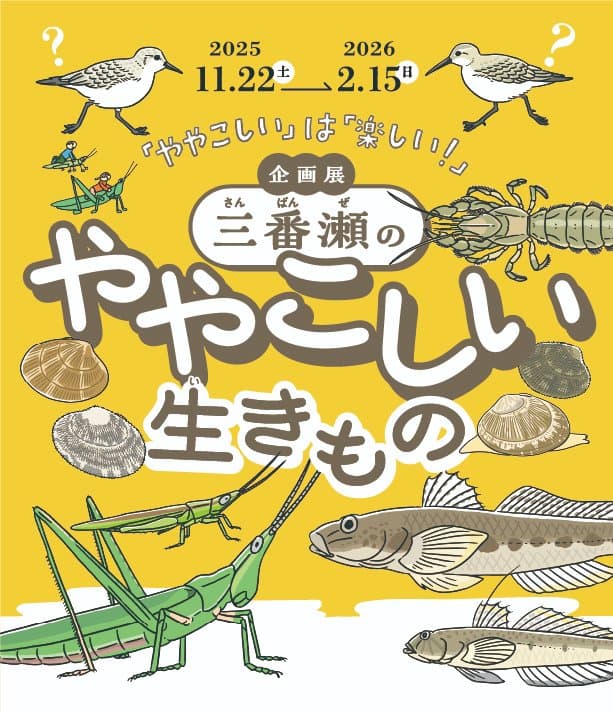 企画展「三番瀬のややこしい生きもの」