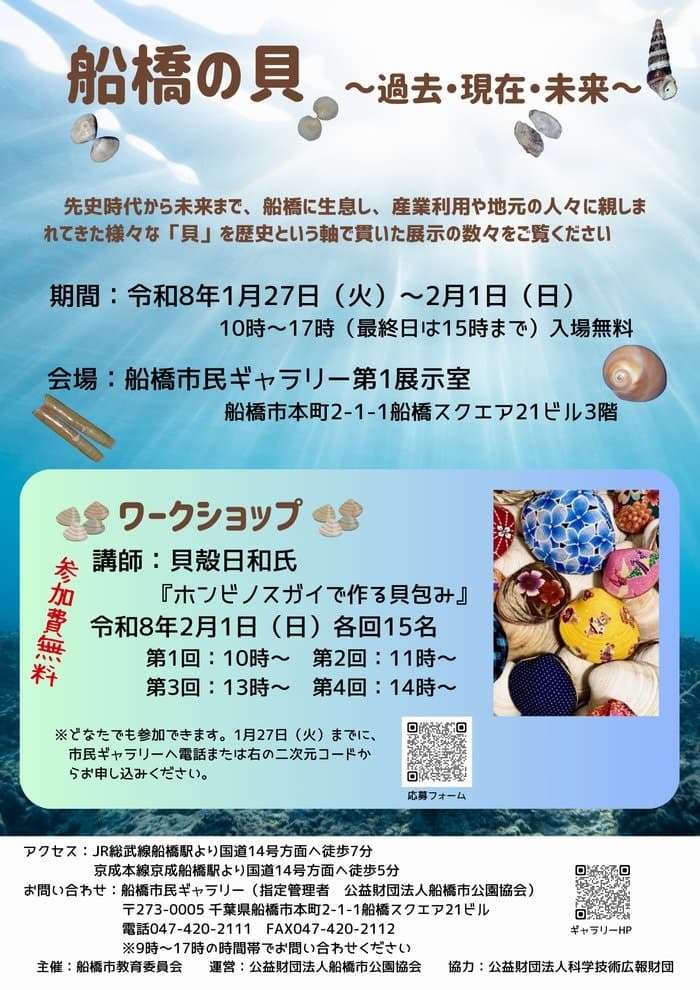 船橋の貝~過去・現在・未来~