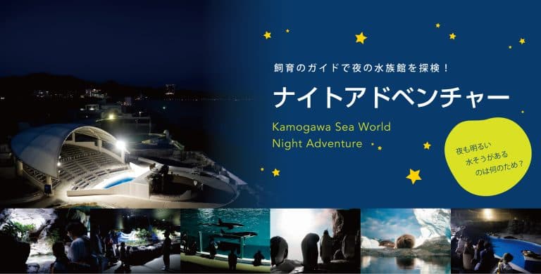 春のナイトアドベンチャー