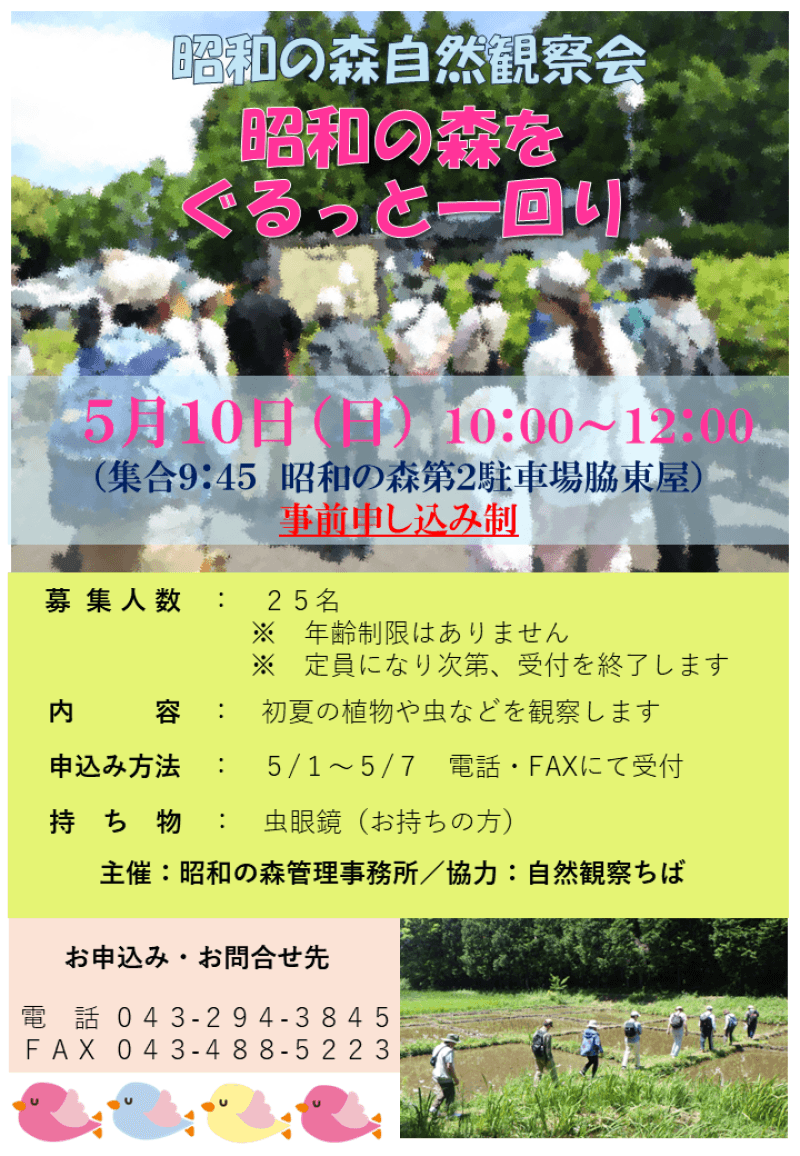 5月自然観察会(昭和の森)