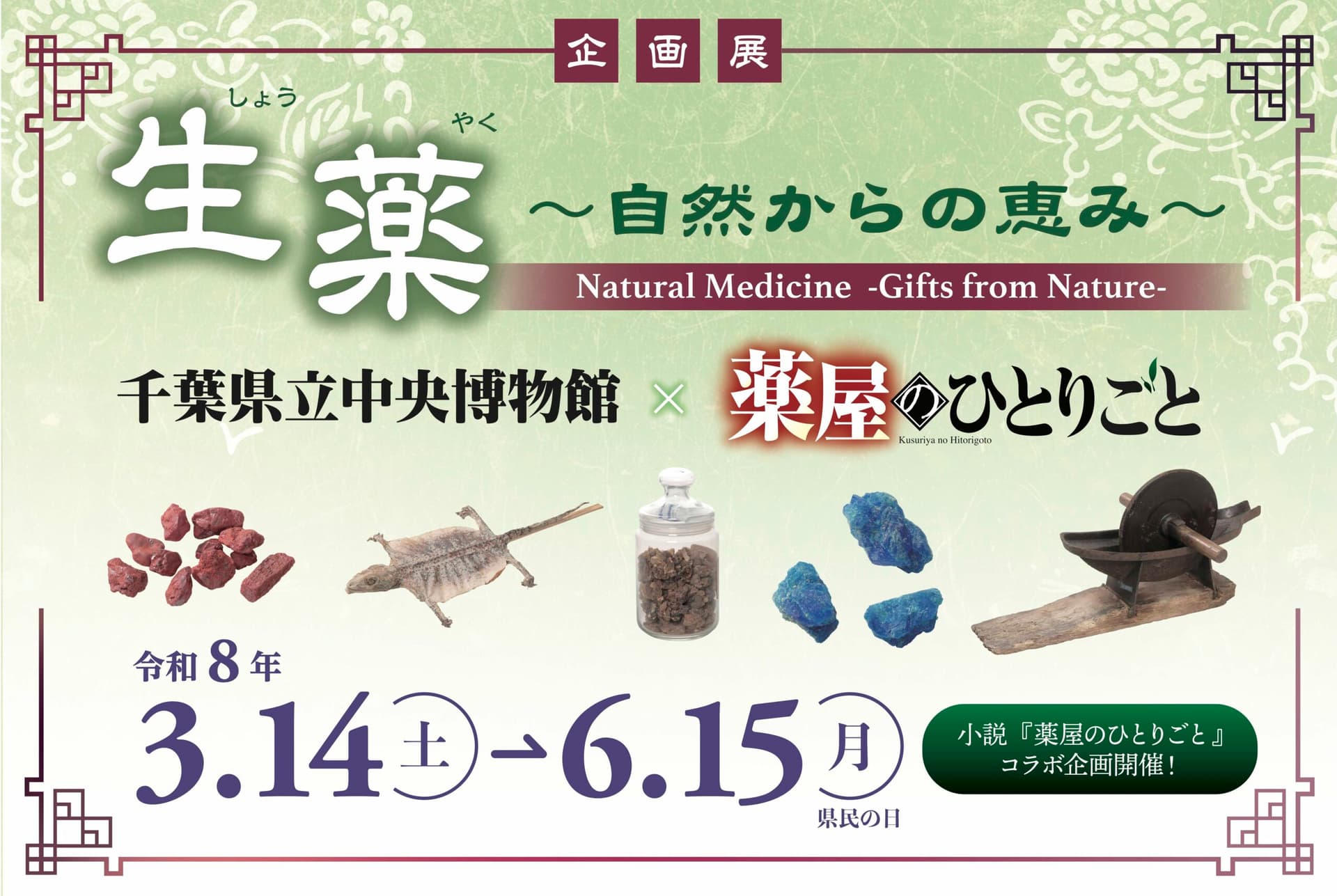 企画展 生薬〜自然からの恵み〜