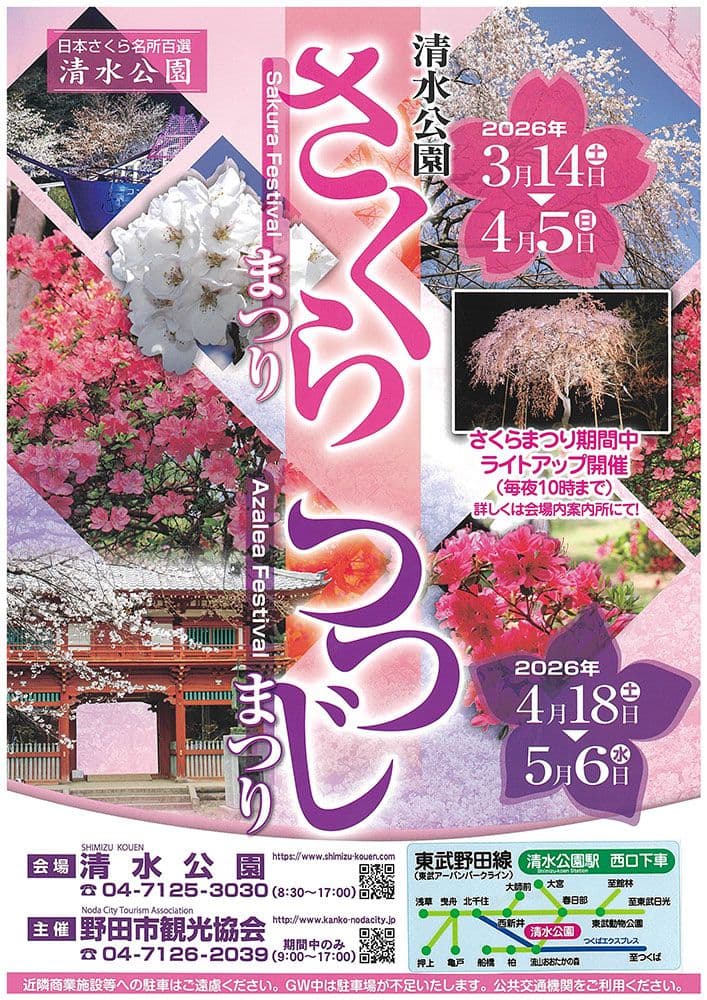 つつじまつり(清水公園)