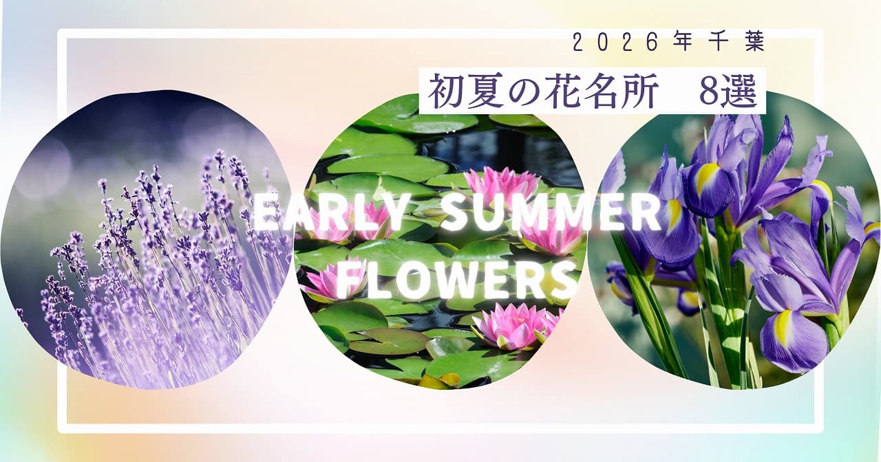 【千葉】初夏の花名所8選!あやめ・ラベンダー・花菖蒲等
